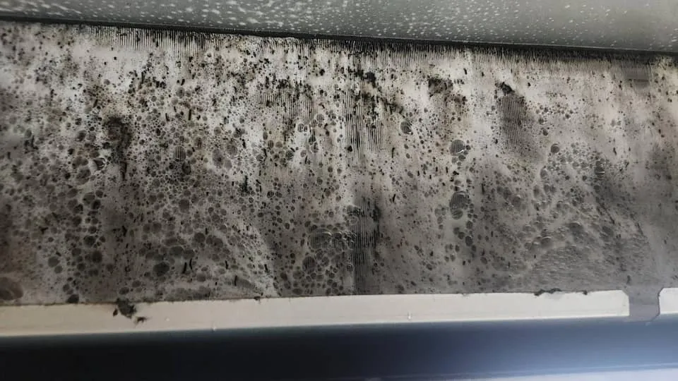 桃園區吊隱式冷氣保養/中壢區冷氣移機