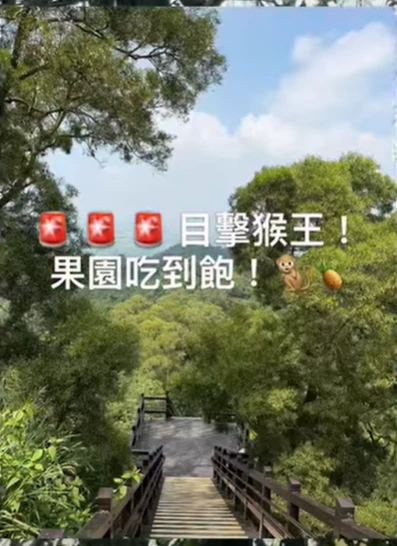 【溫佳新鮮事｜在果園抓到一位現行犯！？】 #彰化長照機構 #員林長照機構 #長照3.0 #長照服務