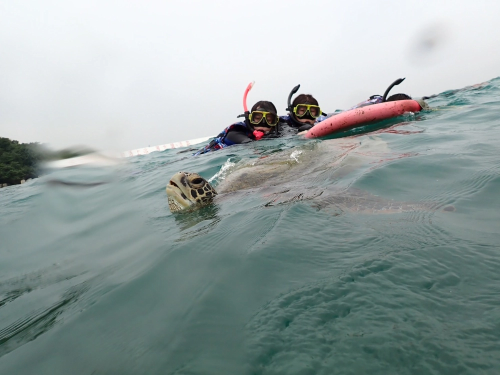 【114年11月】 員工旅遊屏東小琉球兩天一夜 #彰化長照機構 #員林長照機構 #長照3.0 #長照服務