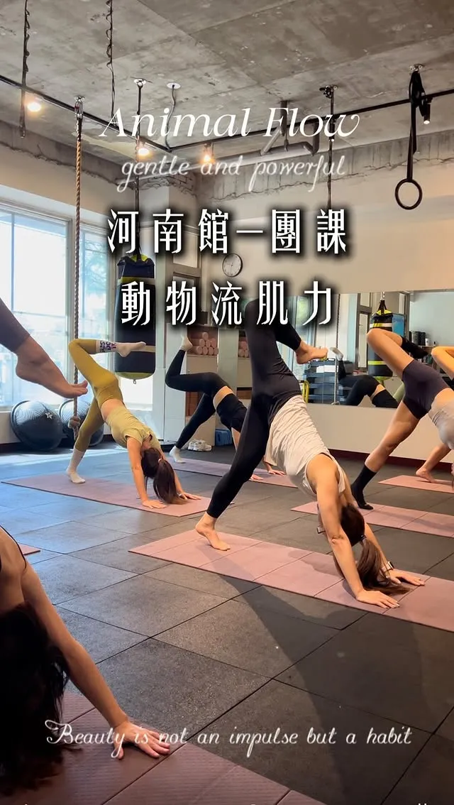 動物流肌力 Animal Flow