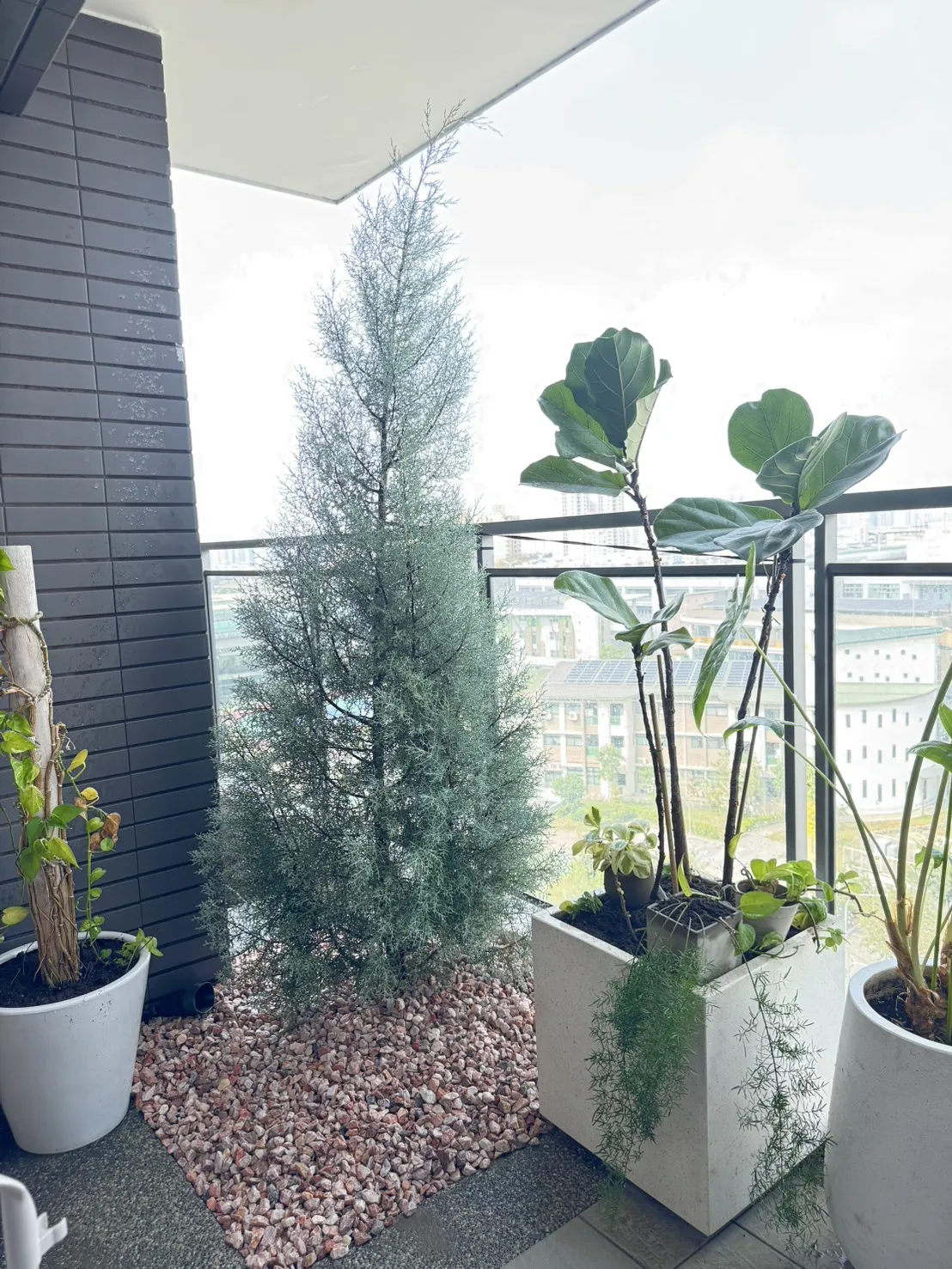 提升生活植感，植栽新生活