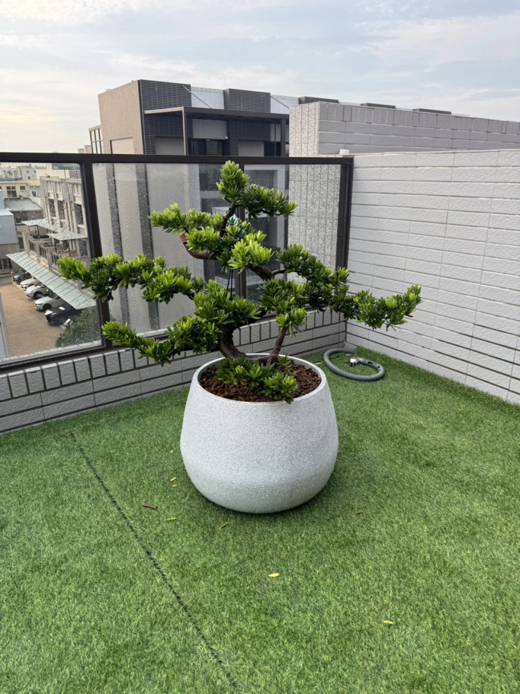 客製化種植圖片分享