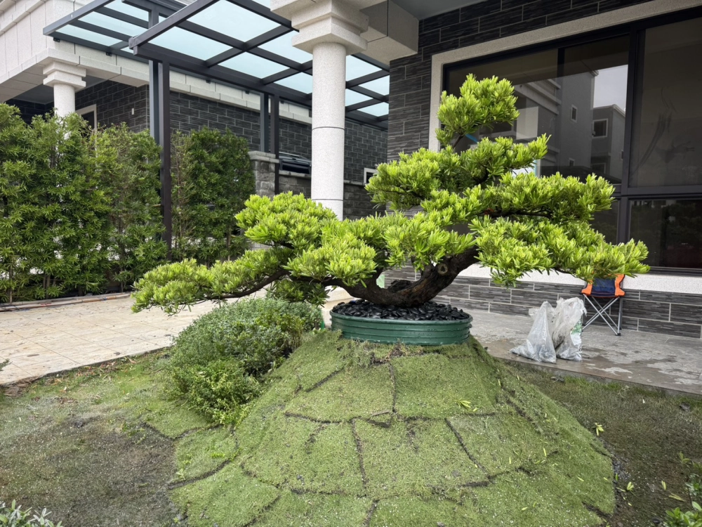 客製化種植圖片分享