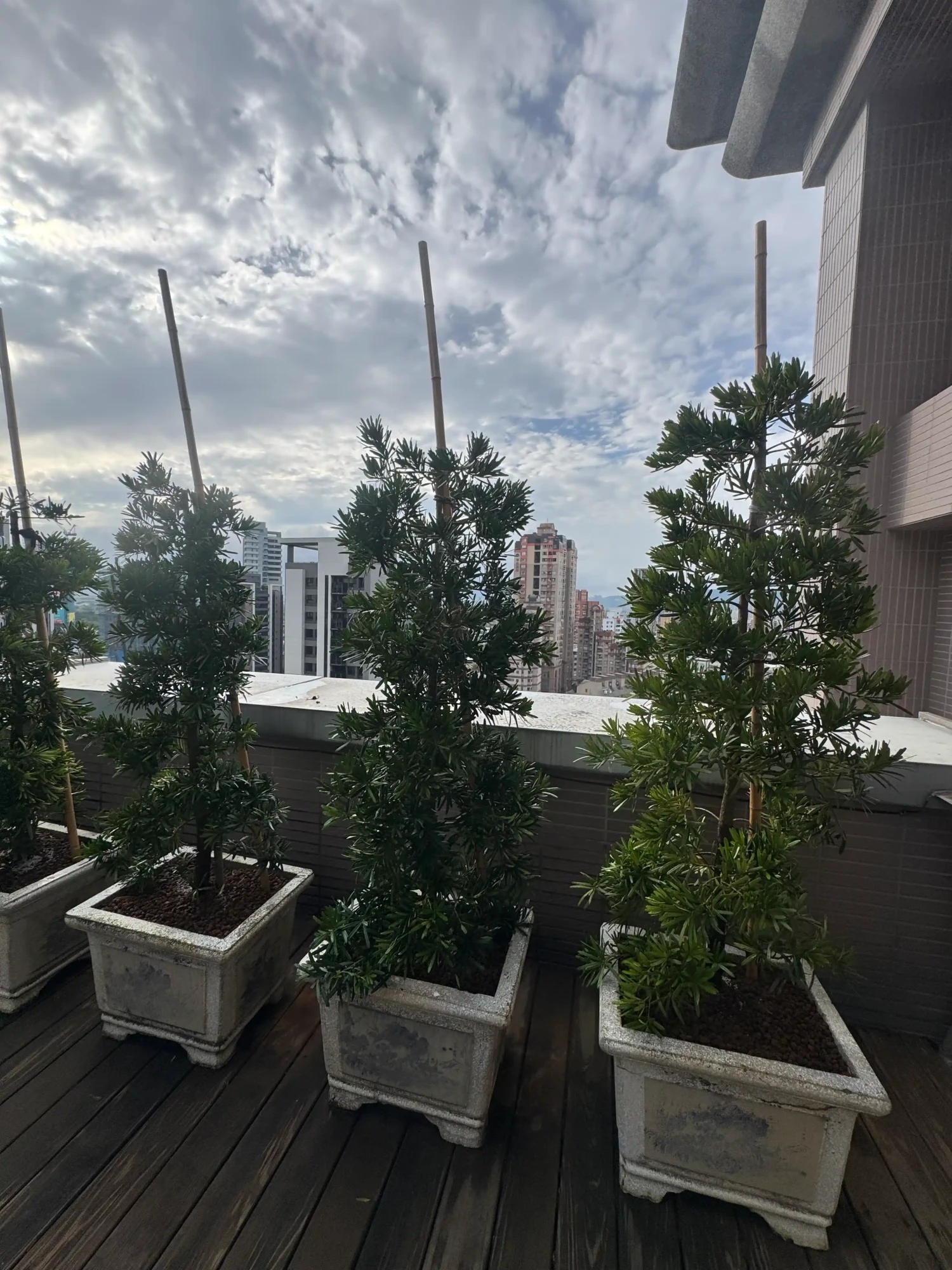客製化種植圖片分享