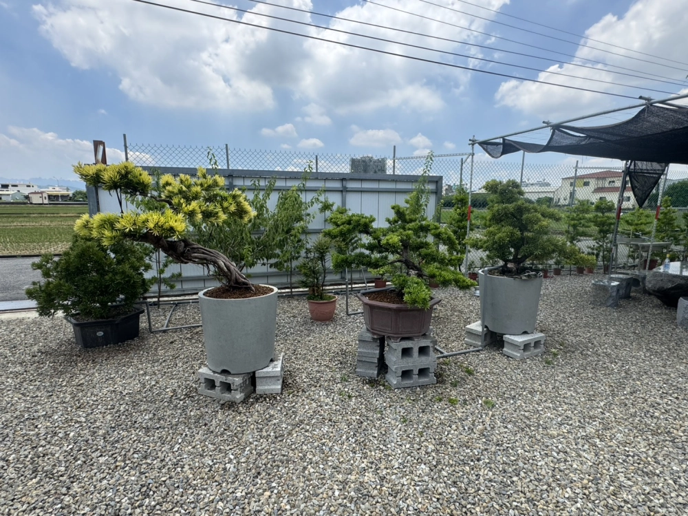 客製化種植圖片分享