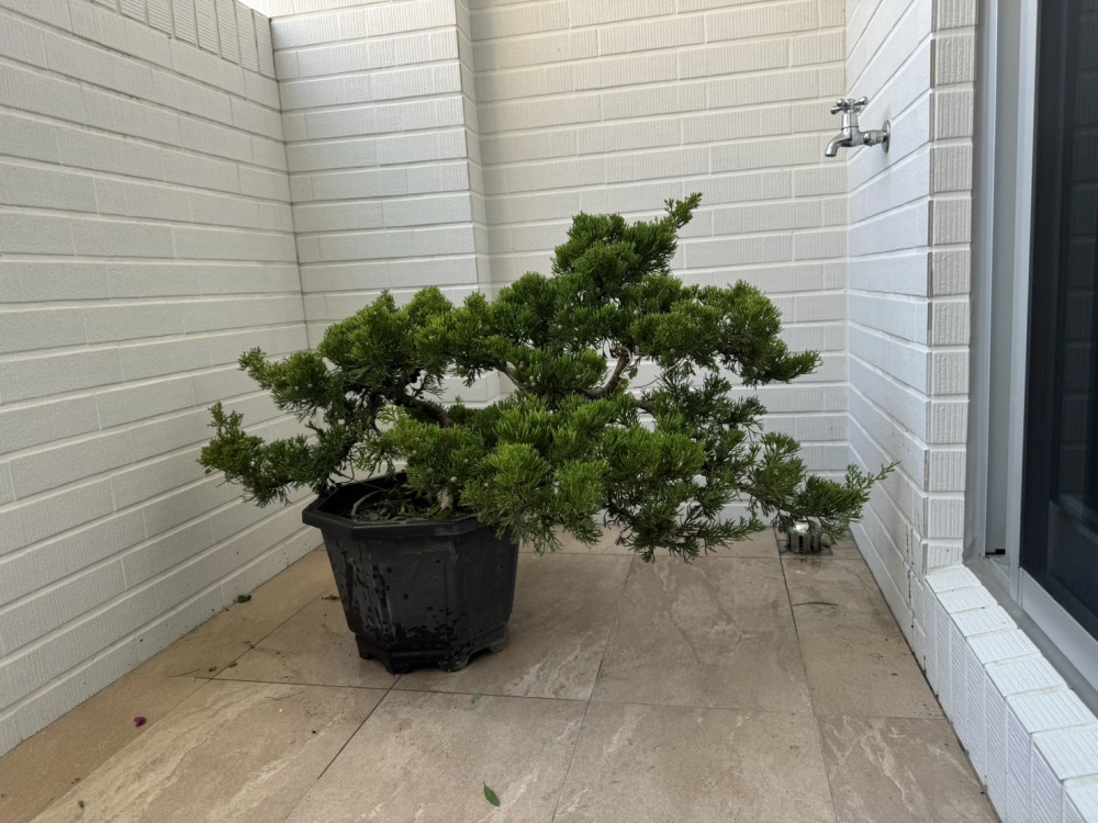 客製化種植圖片分享