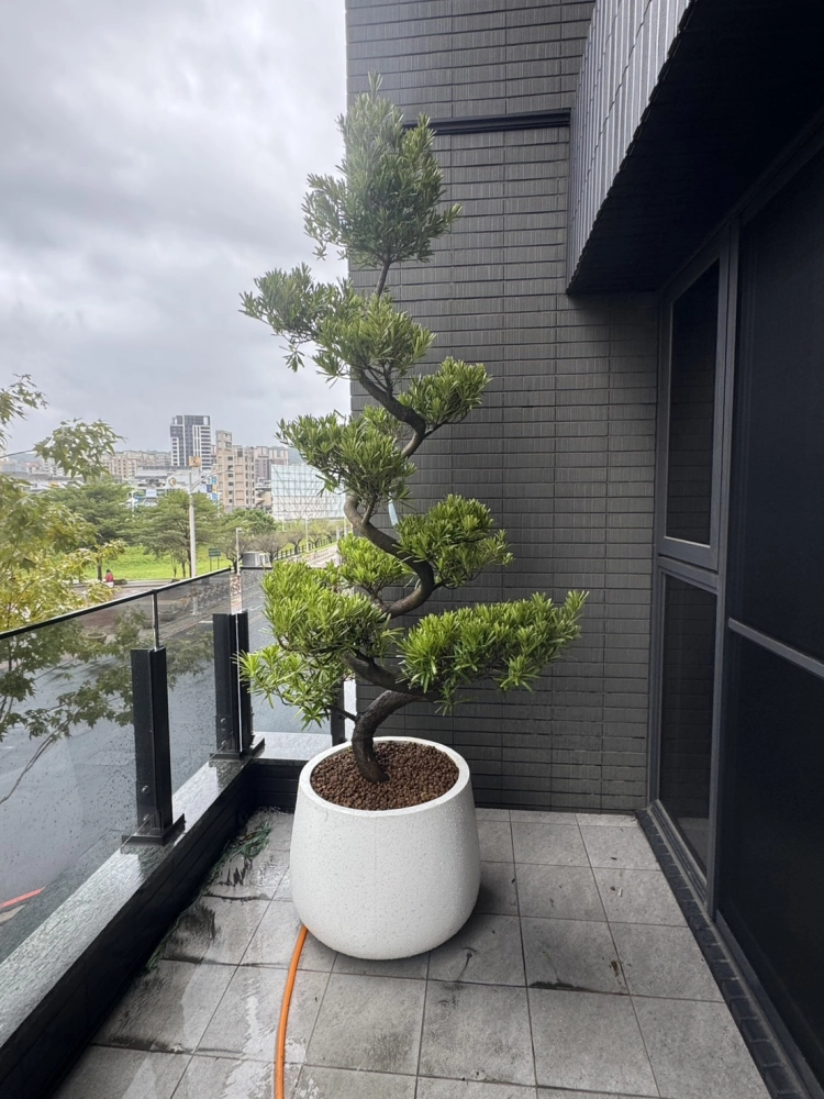 客製化種植圖片分享