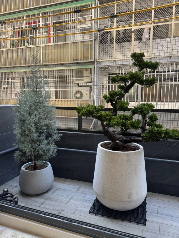 客製化種植圖片分享