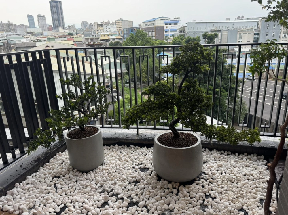 中大型植栽