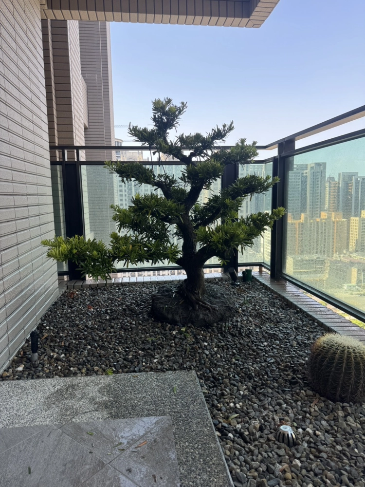 客製化種植圖片分享