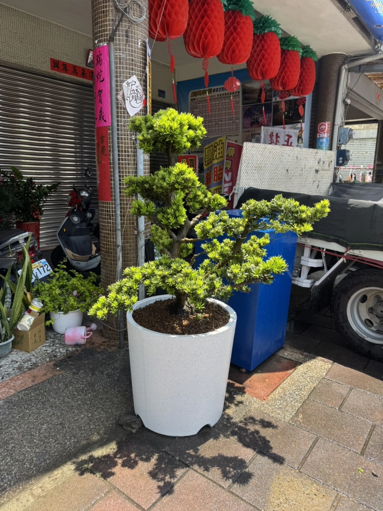 客製化種植圖片分享