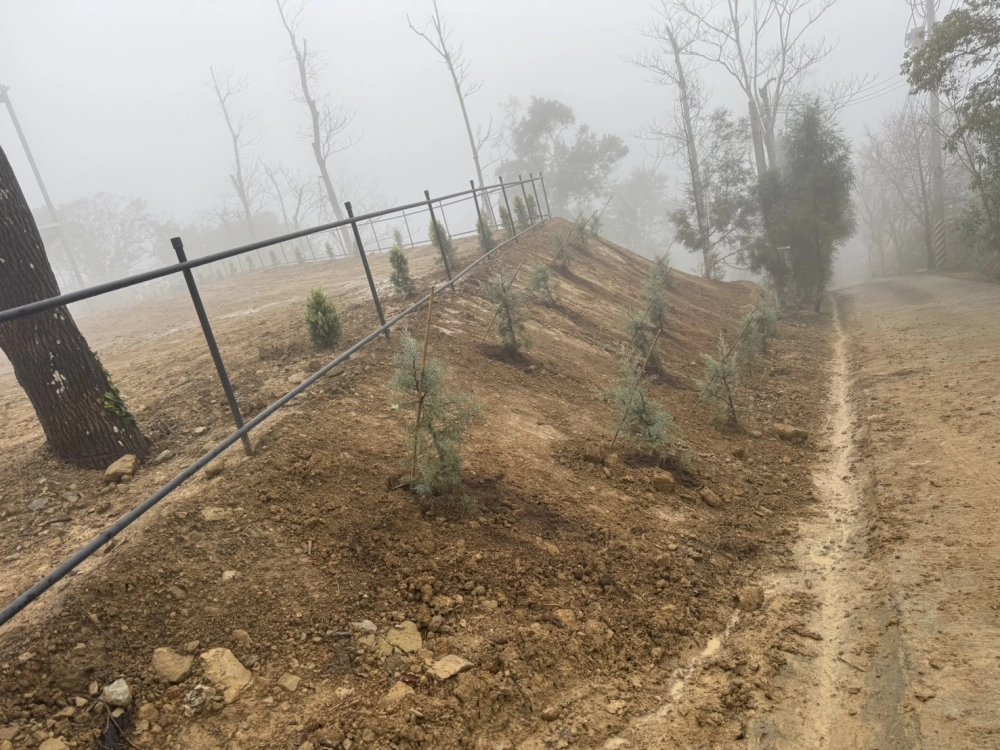 客製化種植圖片分享