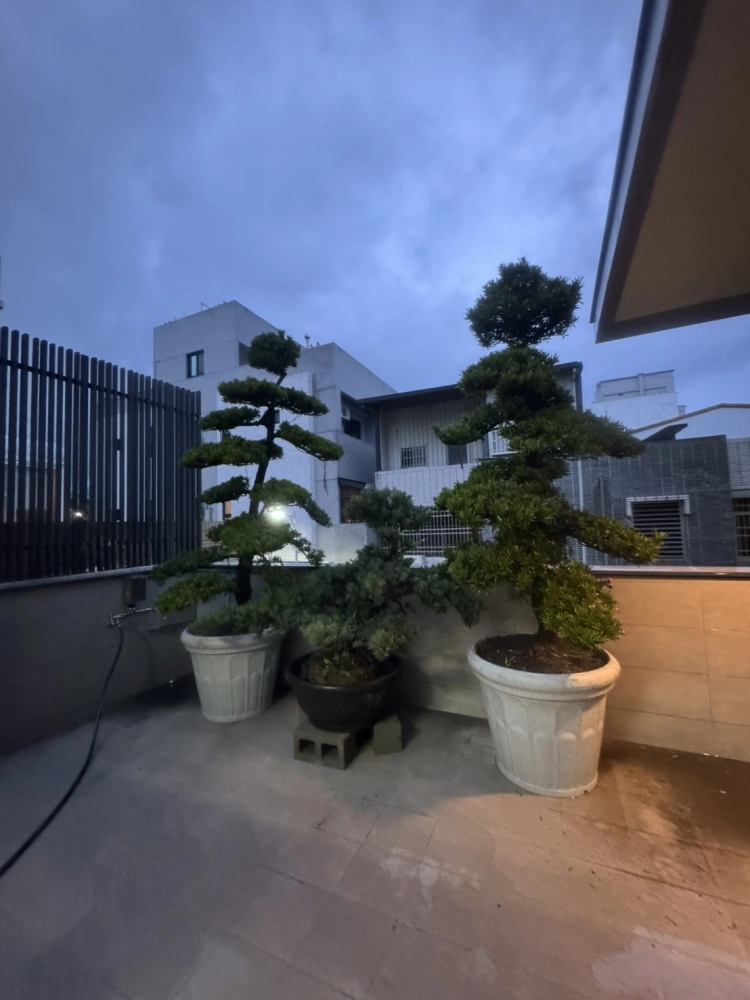 客製化種植圖片分享