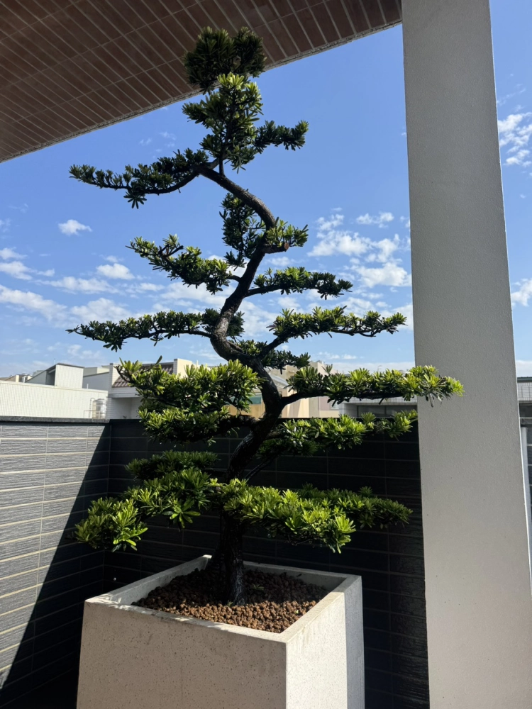 客製化種植圖片分享
