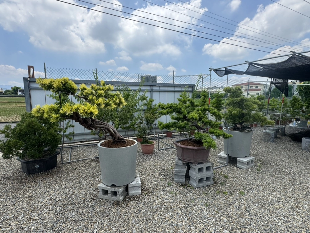 客製化種植圖片分享