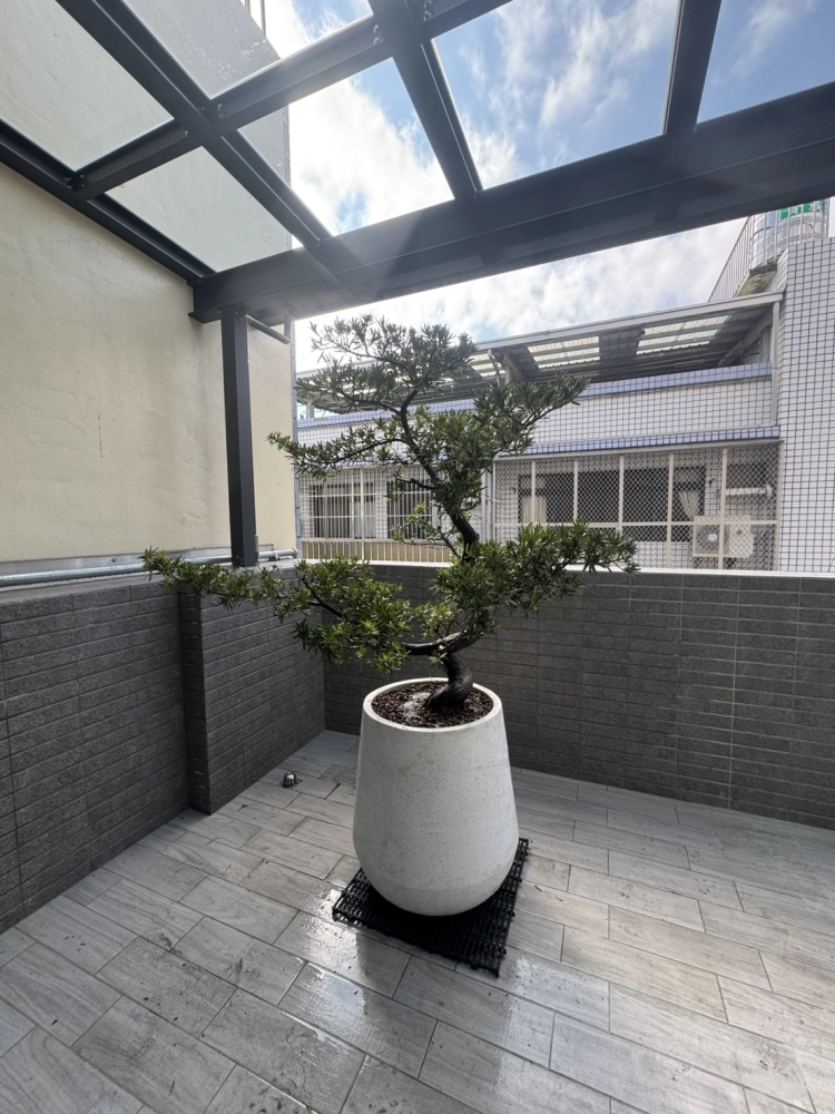客製化種植圖片分享
