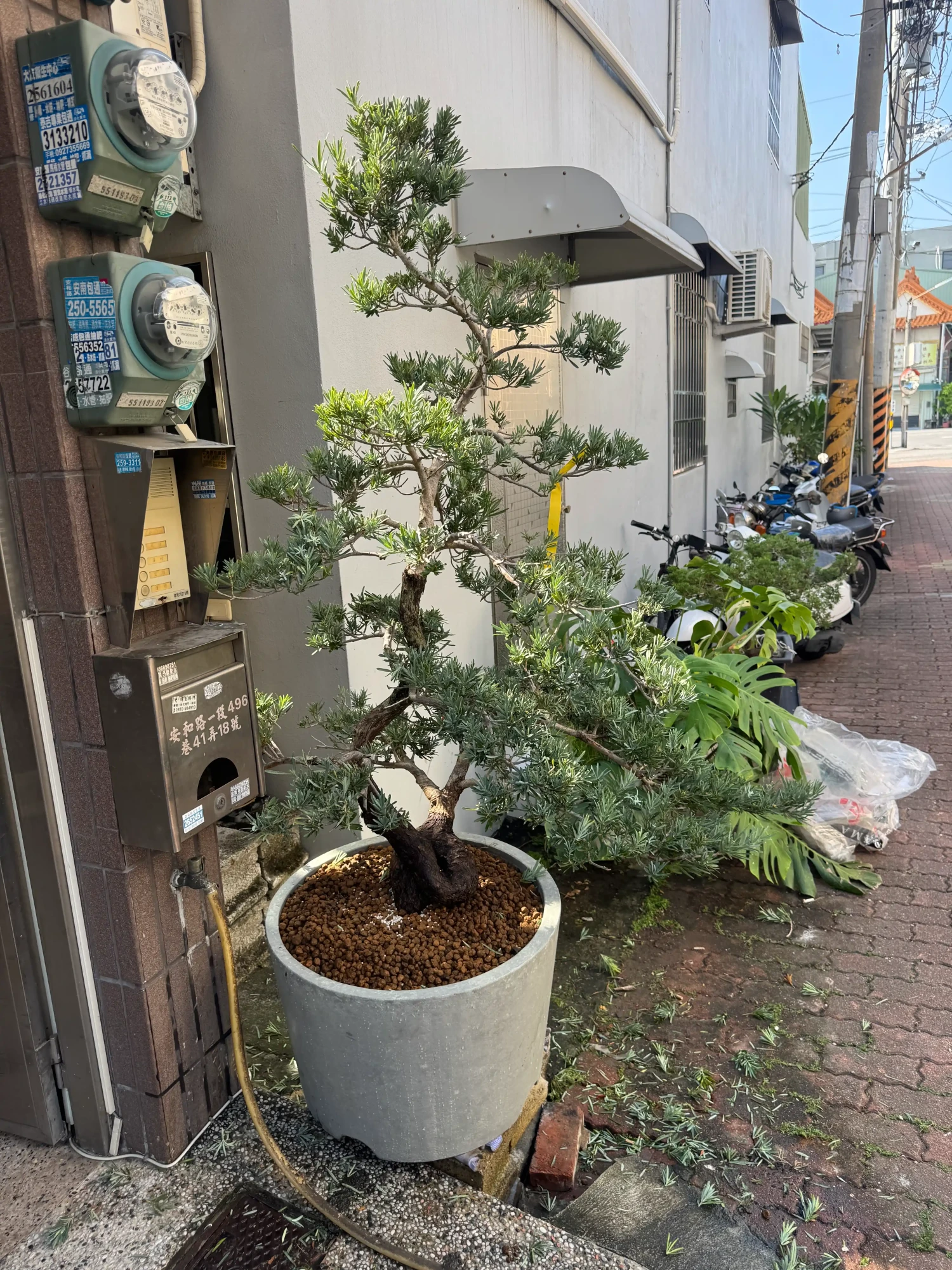 客製化種植圖片分享