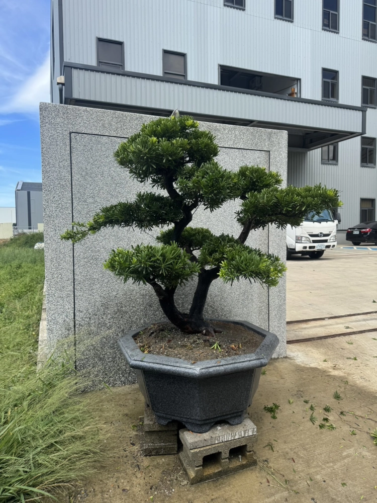 客製化種植圖片分享