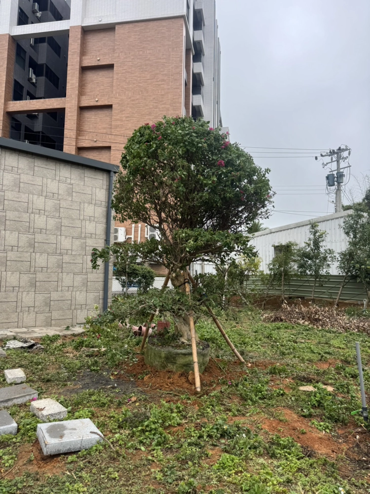客製化種植圖片分享