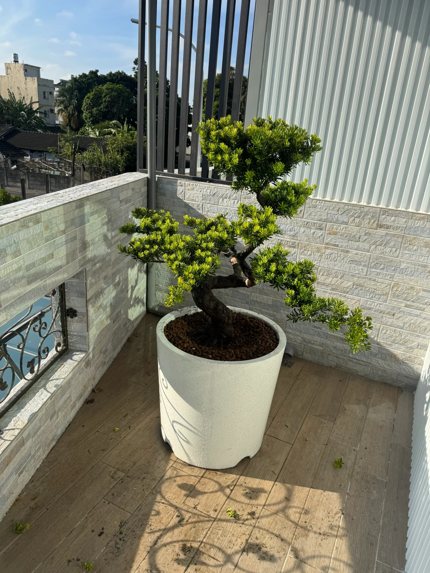 客製化種植圖片分享