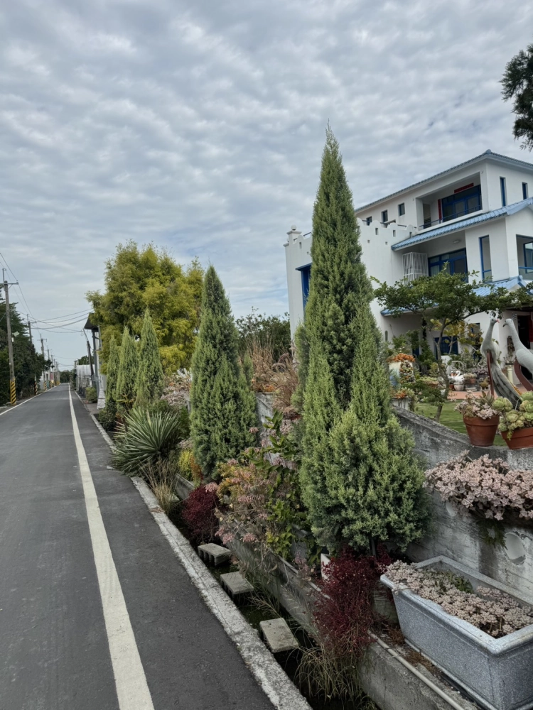 客製化種植圖片分享