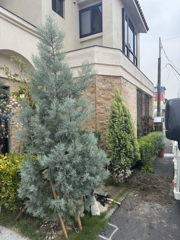 客製化種植圖片分享