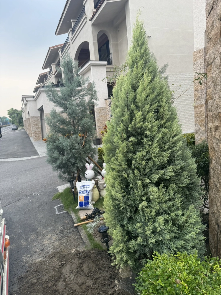 客製化種植圖片分享