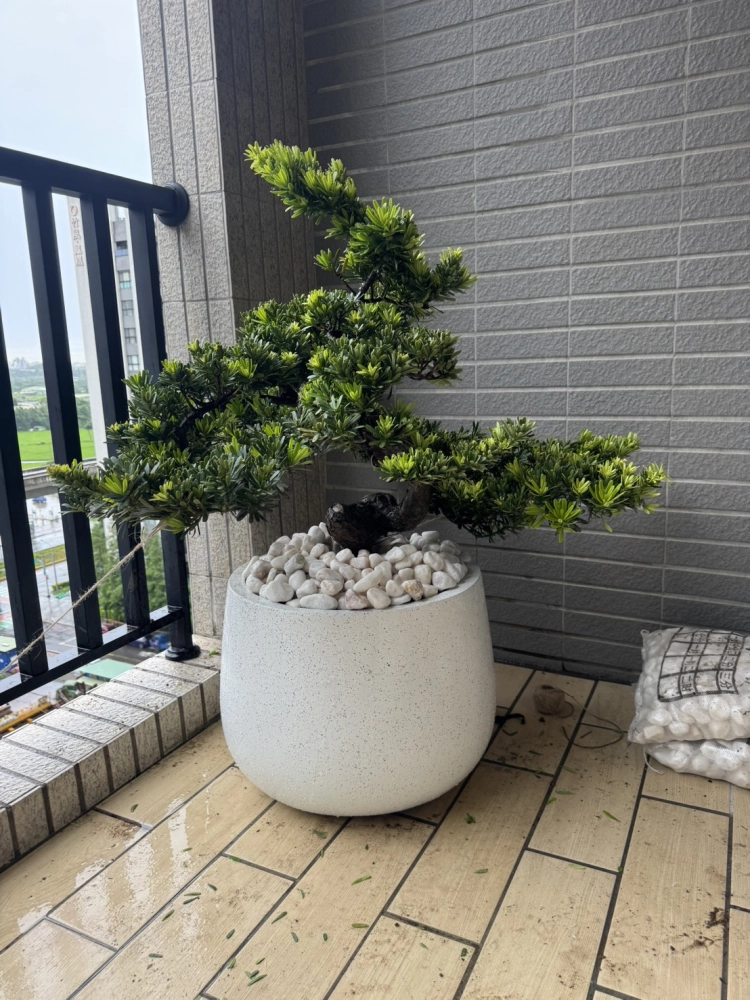 客製化種植圖片分享