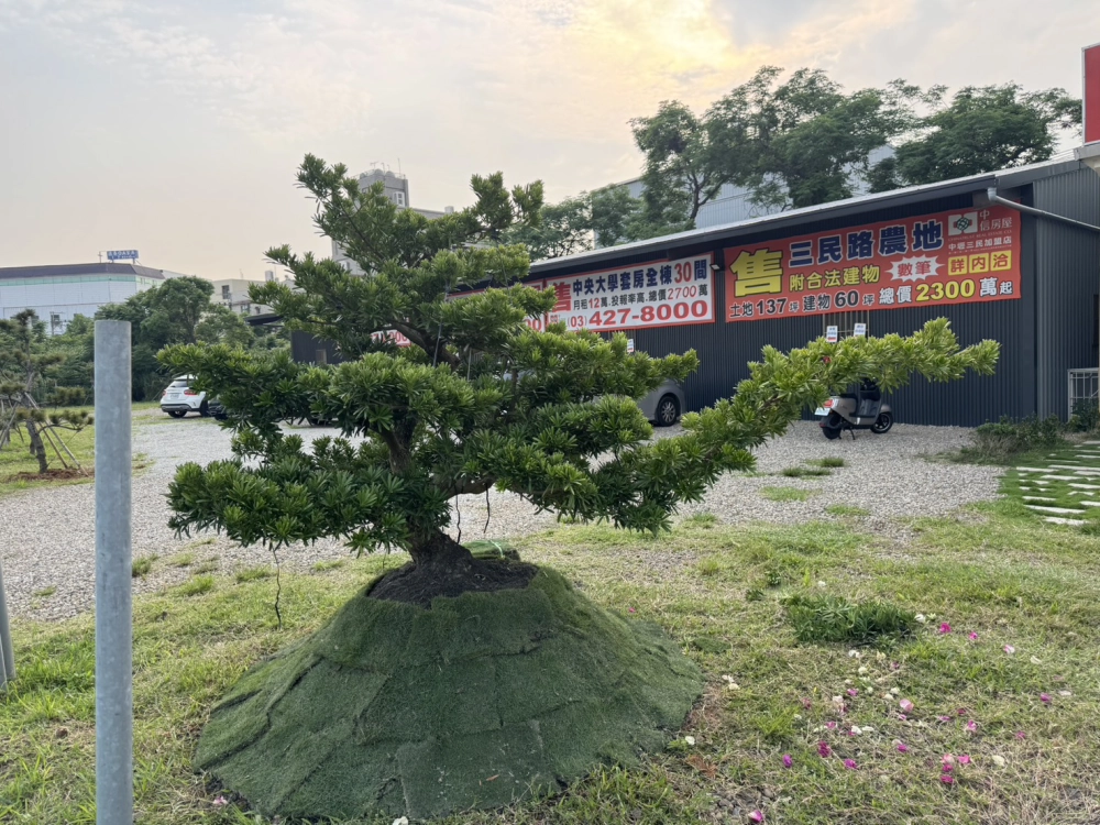 客製化種植圖片分享