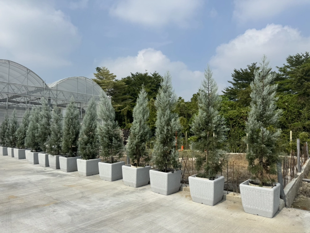 客製化種植圖片分享