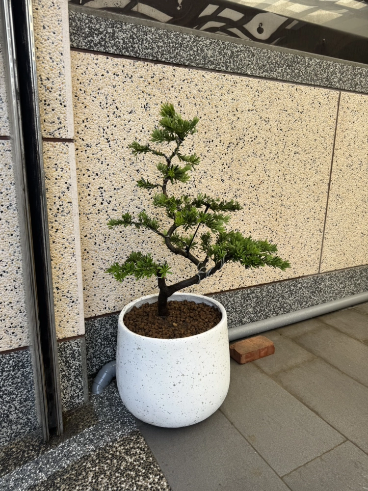 客製化種植圖片分享