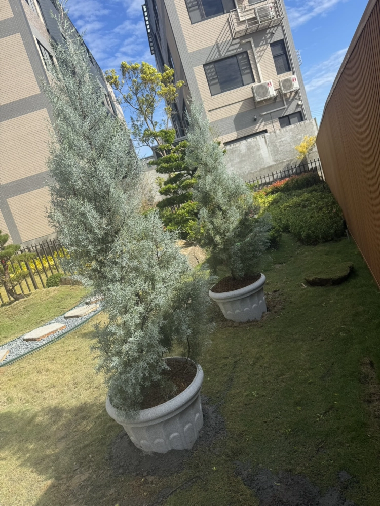 客製化種植圖片分享