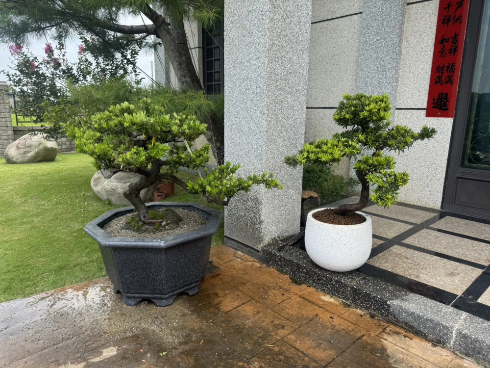 客製化種植圖片分享