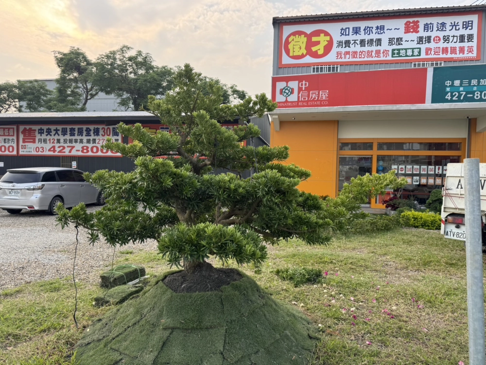 客製化種植圖片分享