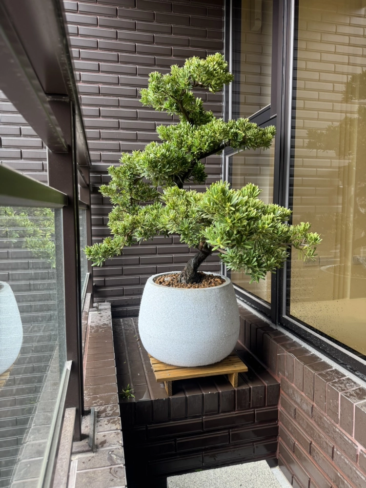 客製化種植圖片分享