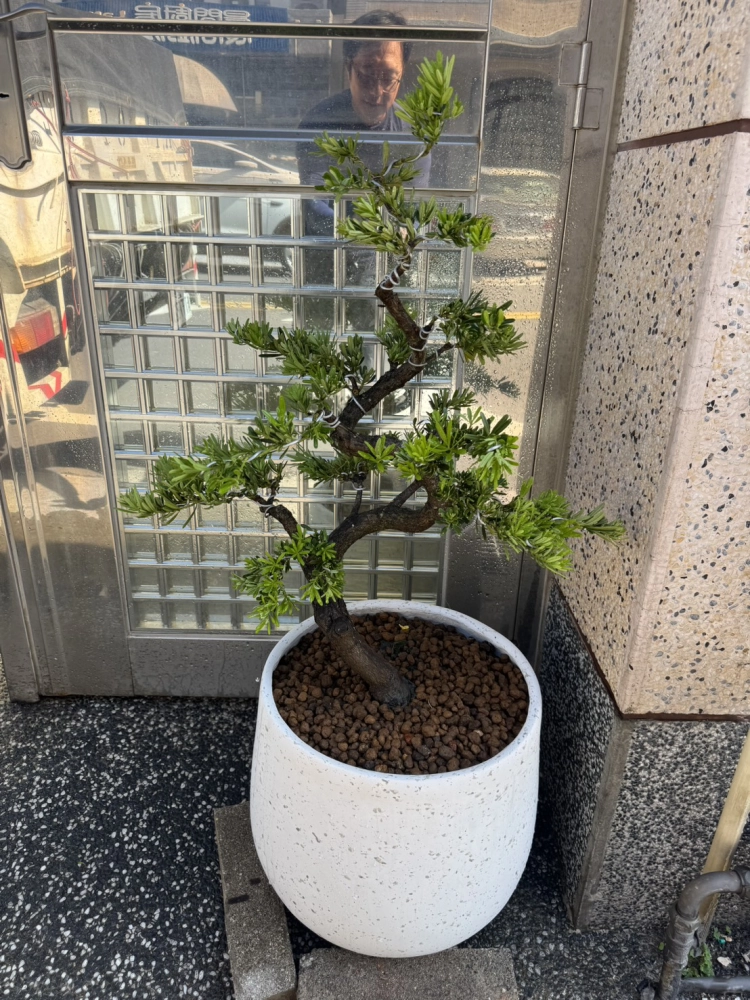 客製化種植圖片分享