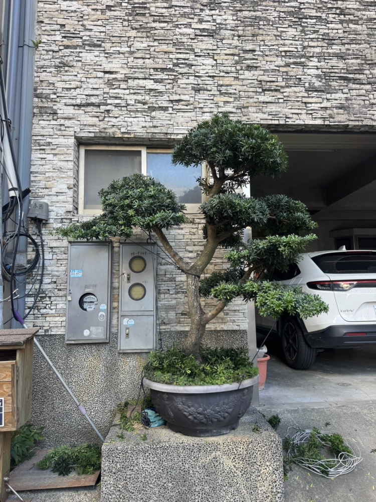 客製化種植圖片分享