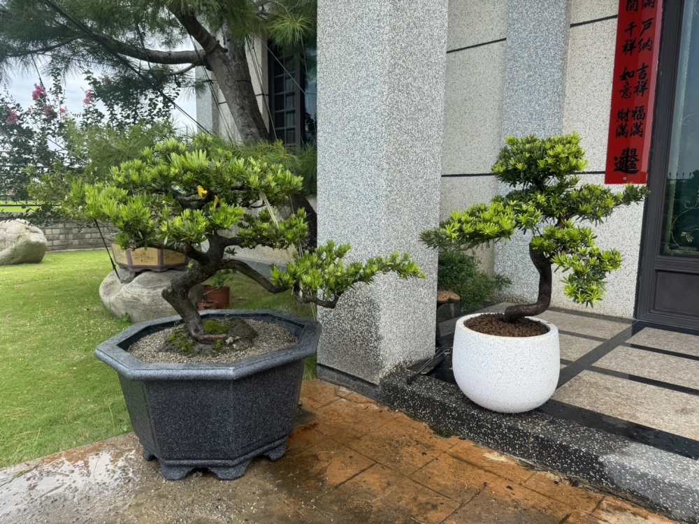 客製化種植圖片分享