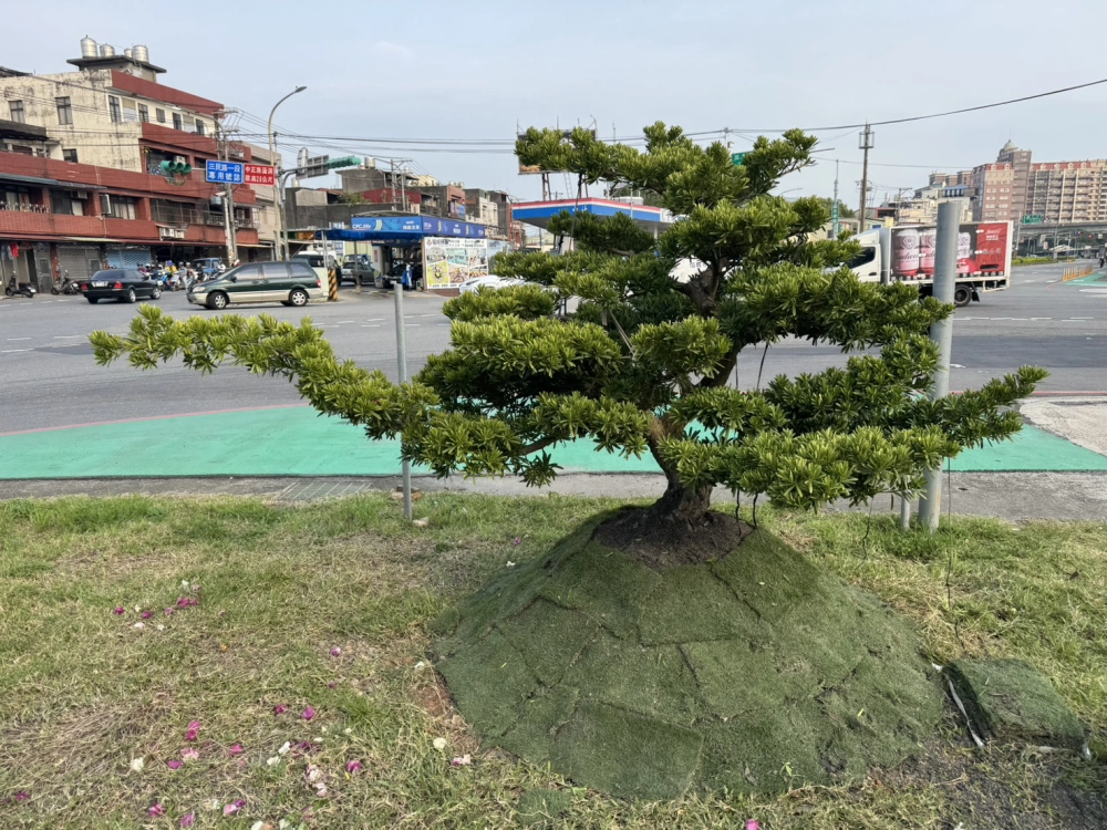 客製化種植圖片分享