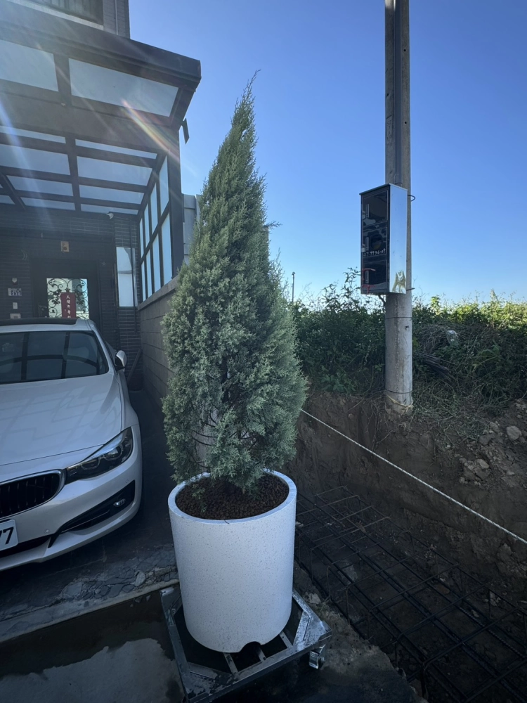 客製化種植圖片分享
