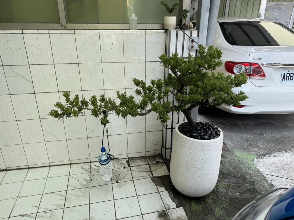 客製化種植圖片分享