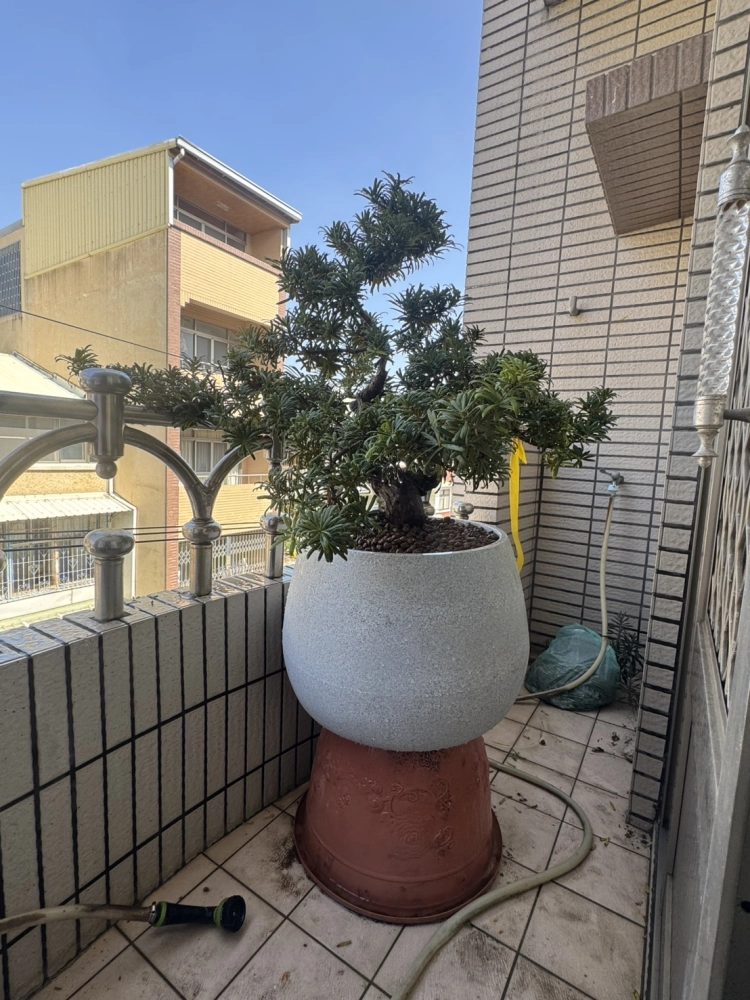 客製化種植圖片分享