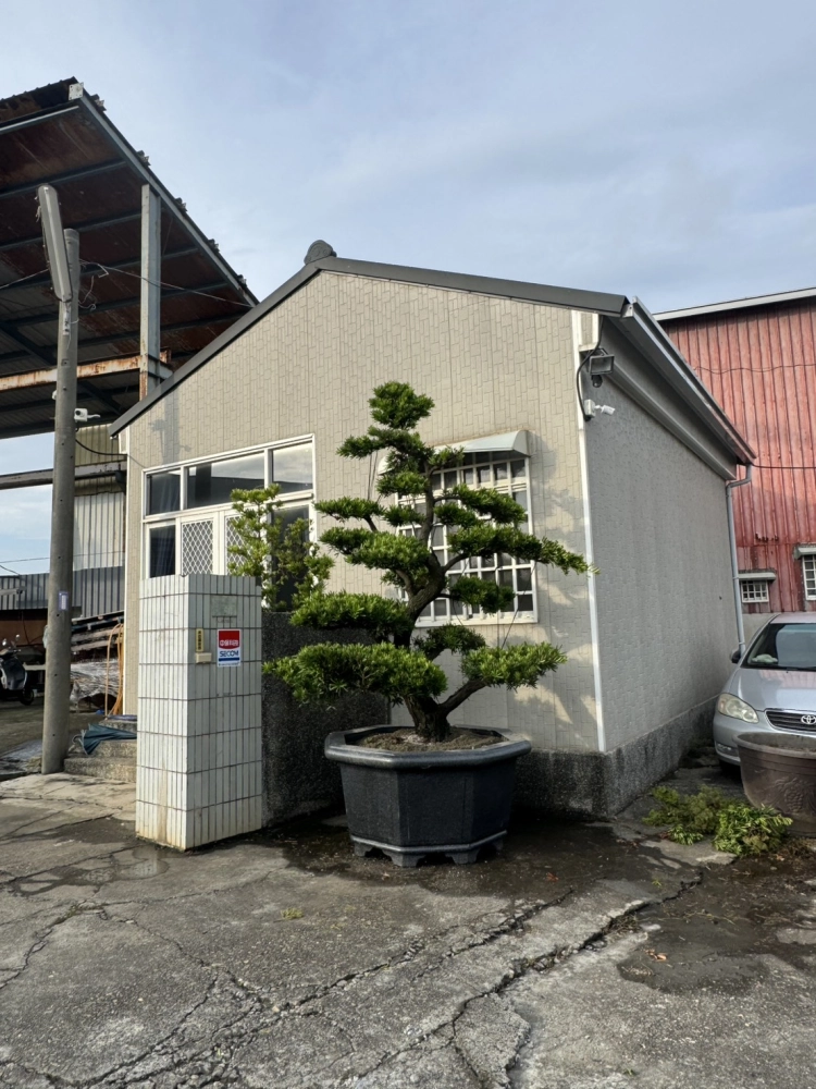 客製化種植圖片分享