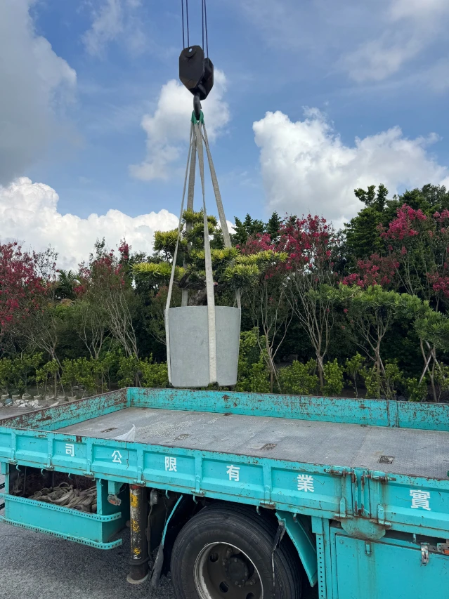 客製化種植圖片分享
