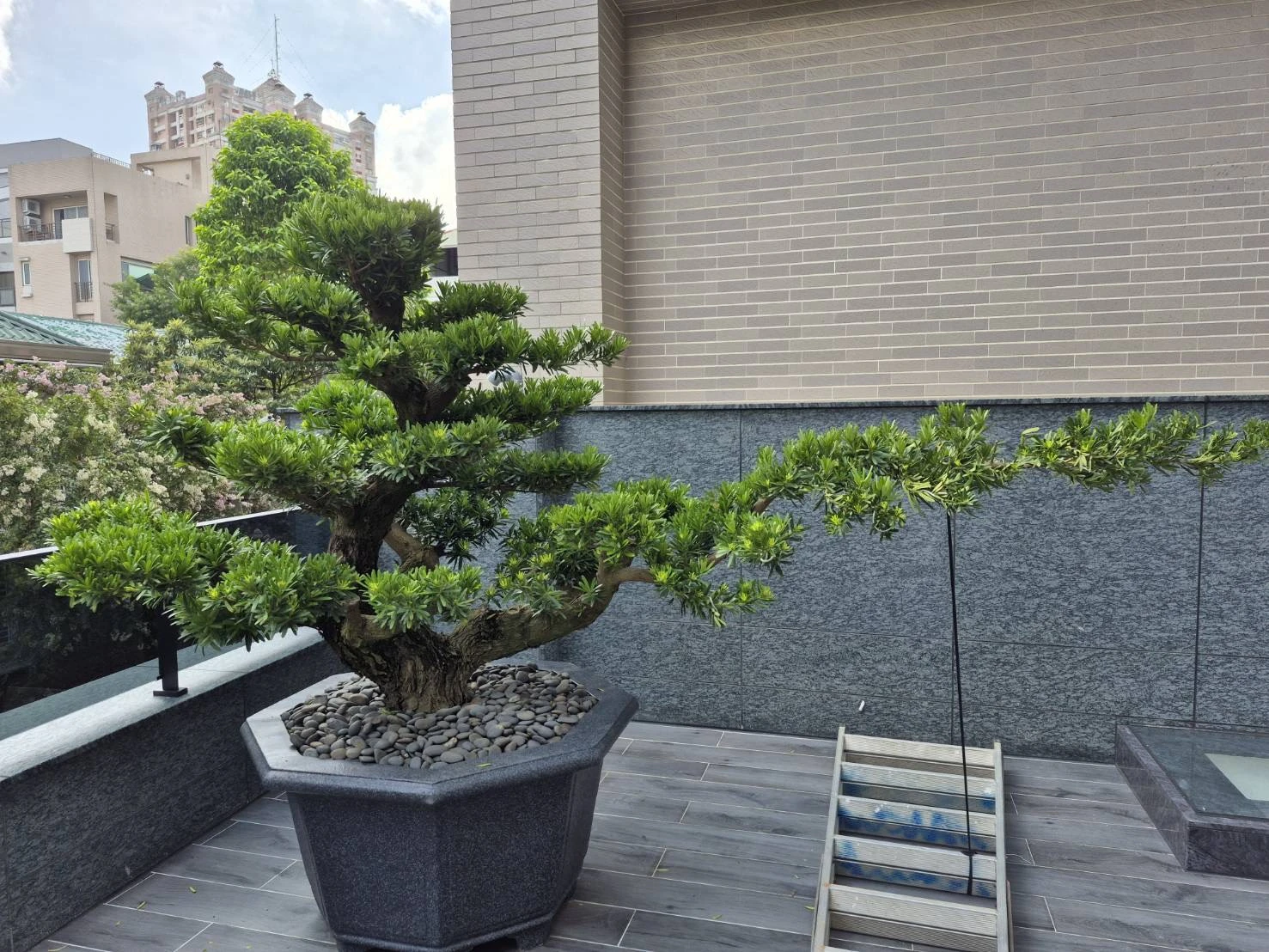客製化種植圖片分享