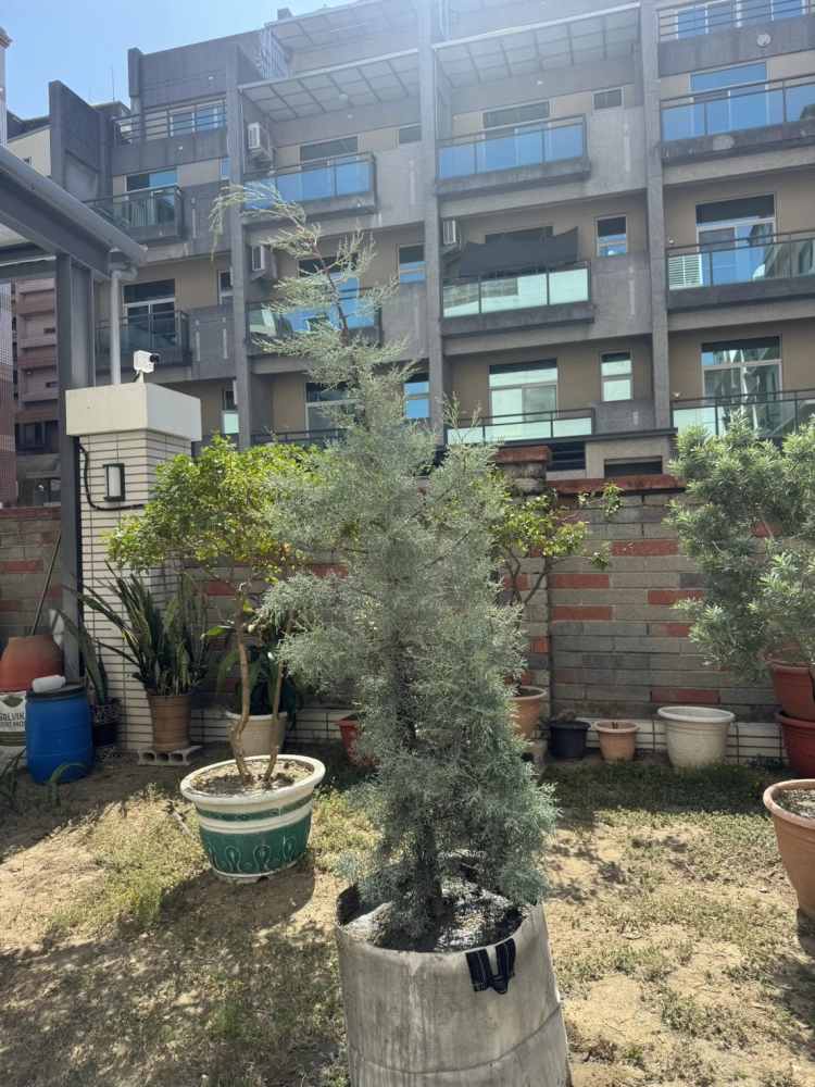 客製化種植圖片分享