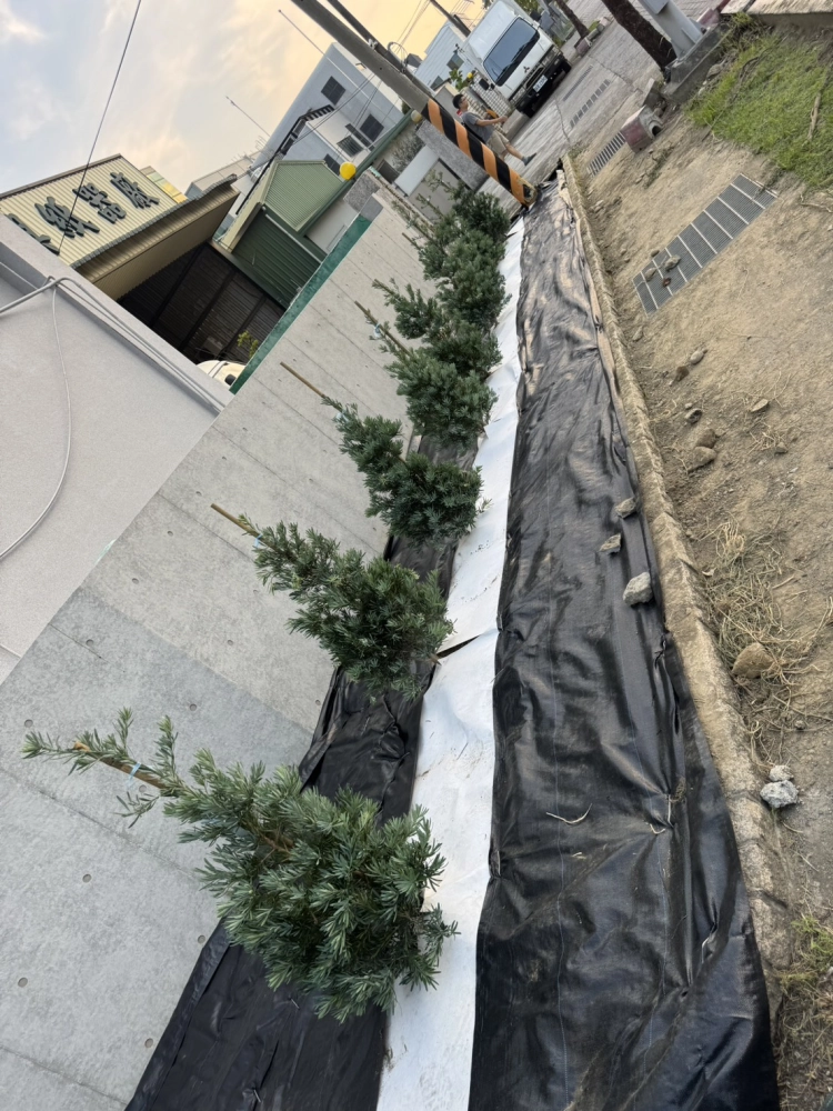 客製化種植圖片分享