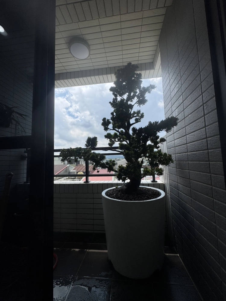客製化種植圖片分享