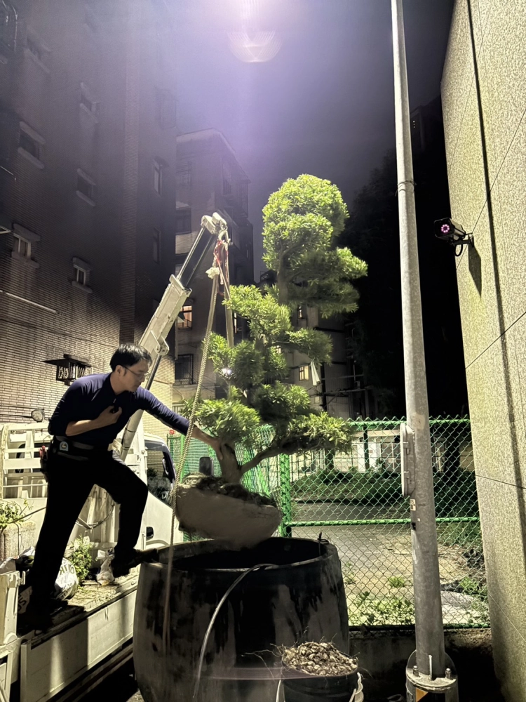 客製化種植圖片分享