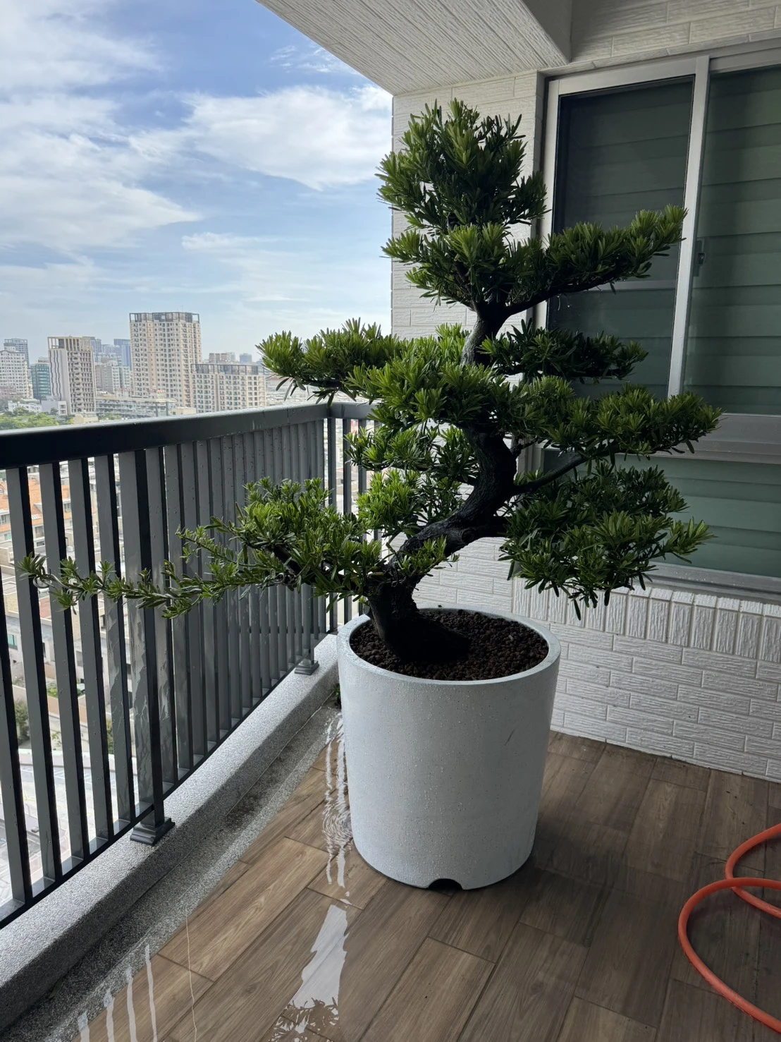 客製化種植圖片分享